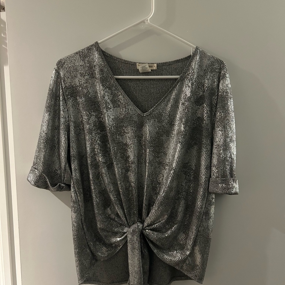 Pebble and Stone Shimmering Silver Blouse